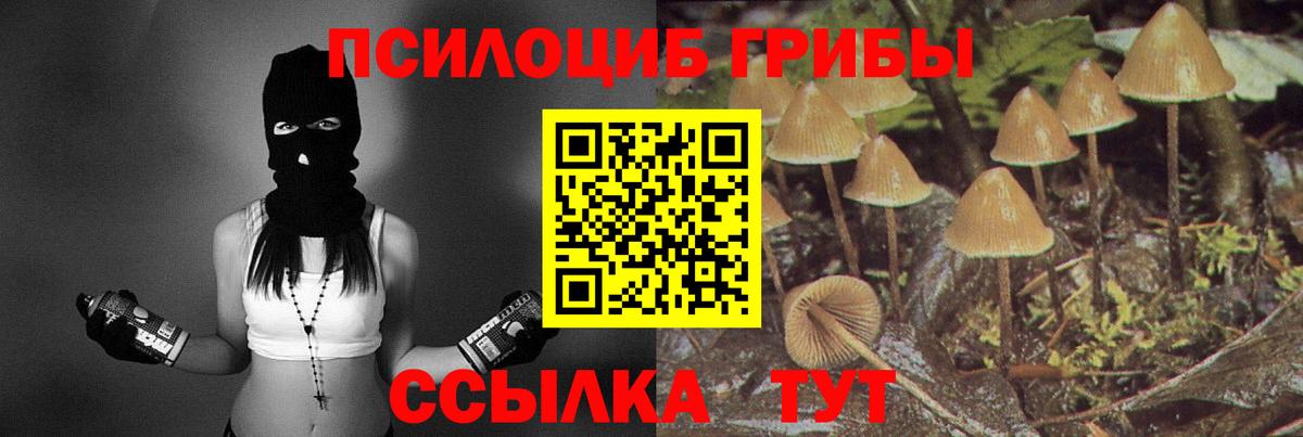 Архангельск  Псилоцибиновые грибы мицелий  где найти   Вход с VPN  Псилоцибиновые грибы GOLDEN TEACHER 